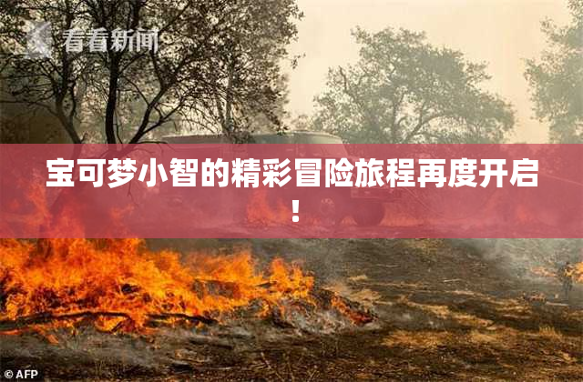 宝可梦小智的精彩冒险旅程再度开启！