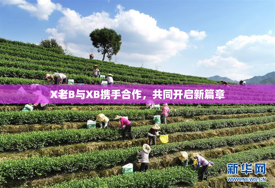 X老B与XB携手合作，共同开启新篇章