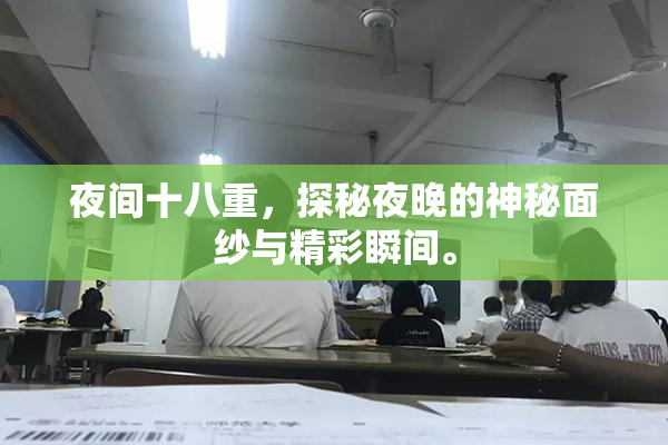 夜间十八重，探秘夜晚的神秘面纱与精彩瞬间。