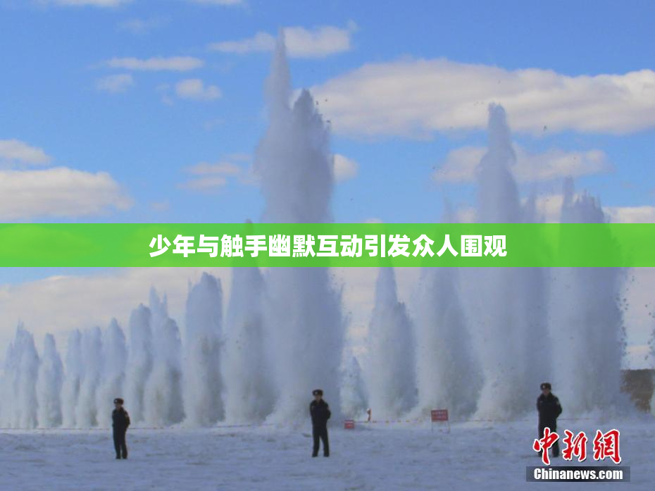 少年与触手幽默互动引发众人围观