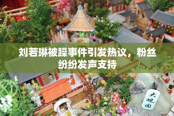 刘若琳被躁事件引发热议，粉丝纷纷发声支持