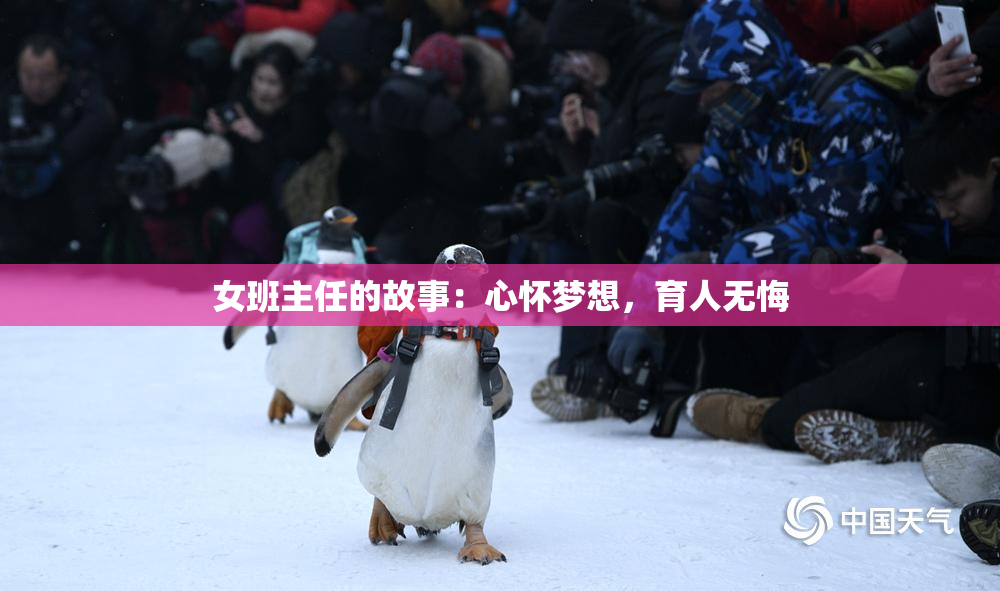 女班主任的故事：心怀梦想，育人无悔