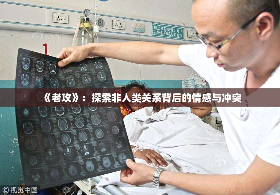《老攻》：探索非人类关系背后的情感与冲突