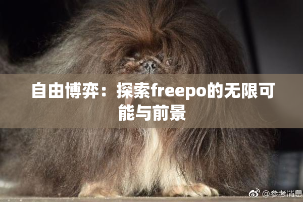 自由博弈：探索freepo的无限可能与前景