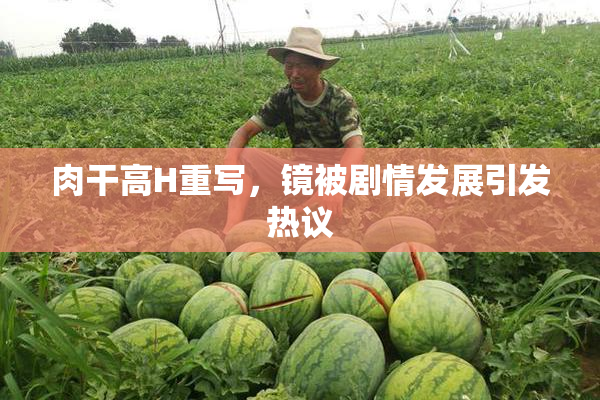 肉干高H重写，镜被剧情发展引发热议