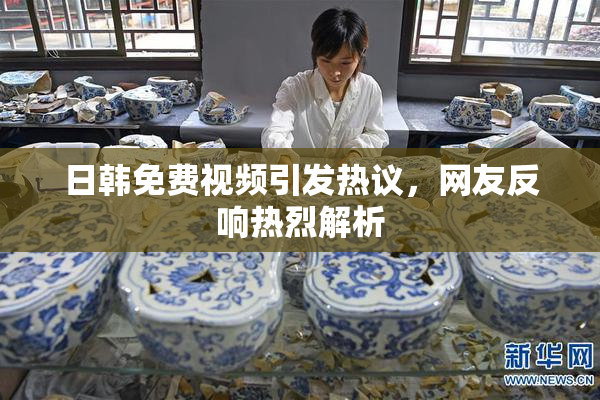 日韩免费视频引发热议，网友反响热烈解析