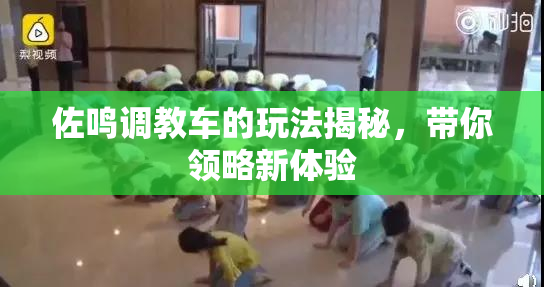 佐鸣调教车的玩法揭秘，带你领略新体验