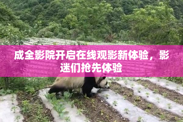 成全影院开启在线观影新体验，影迷们抢先体验