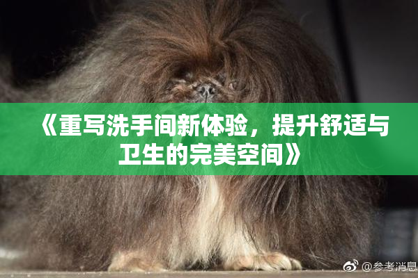 《重写洗手间新体验，提升舒适与卫生的完美空间》