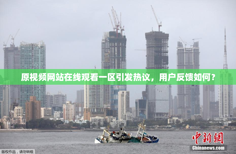原视频网站在线观看一区引发热议，用户反馈如何？