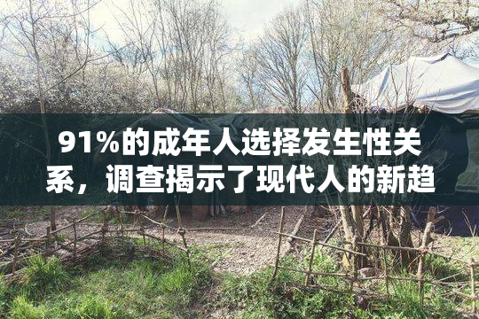 91%的成年人选择发生性关系，调查揭示了现代人的新趋势