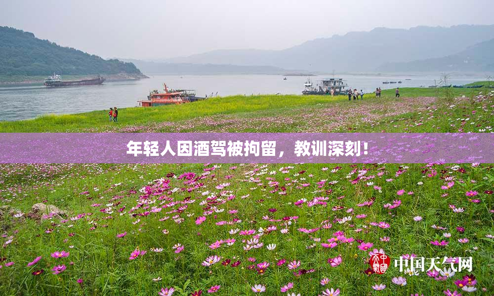 年轻人因酒驾被拘留，教训深刻！
