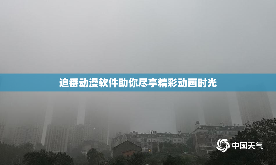 追番动漫软件助你尽享精彩动画时光