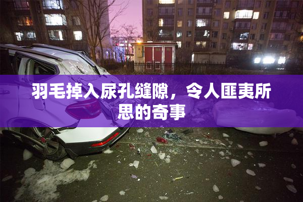 羽毛掉入尿孔缝隙，令人匪夷所思的奇事