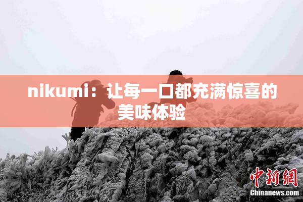nikumi：让每一口都充满惊喜的美味体验