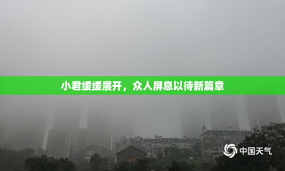 小君缓缓展开，众人屏息以待新篇章
