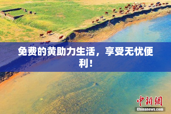 免费的黄助力生活，享受无忧便利！