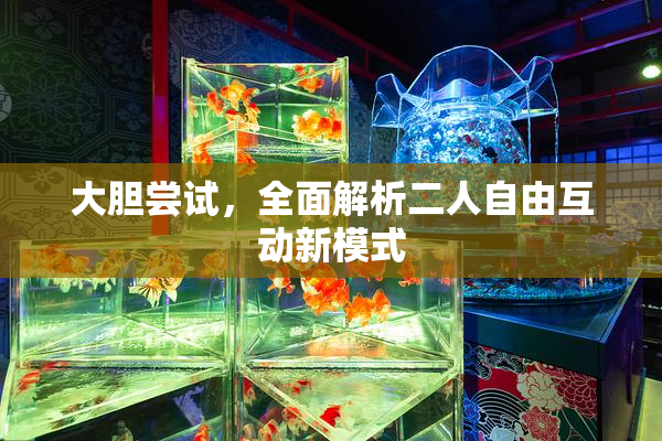 大胆尝试，全面解析二人自由互动新模式