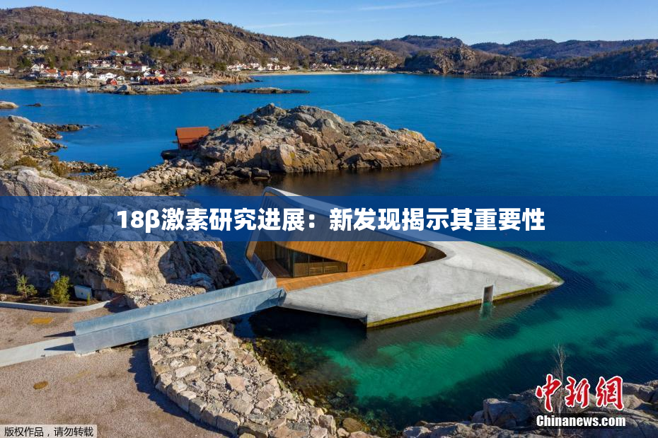18β激素研究进展：新发现揭示其重要性