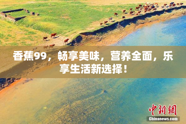 香蕉99，畅享美味，营养全面，乐享生活新选择！