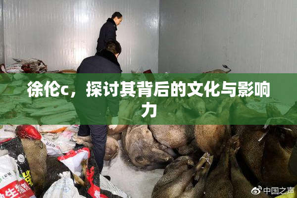 徐伦c，探讨其背后的文化与影响力