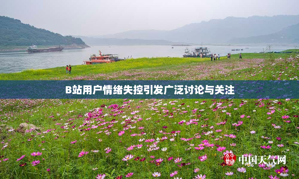 B站用户情绪失控引发广泛讨论与关注