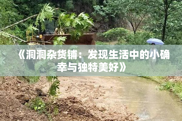《洞洞杂货铺：发现生活中的小确幸与独特美好》