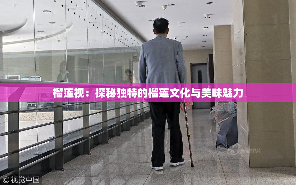 榴莲视：探秘独特的榴莲文化与美味魅力