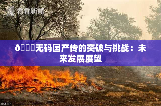 🔞无码国产传的突破与挑战：未来发展展望
