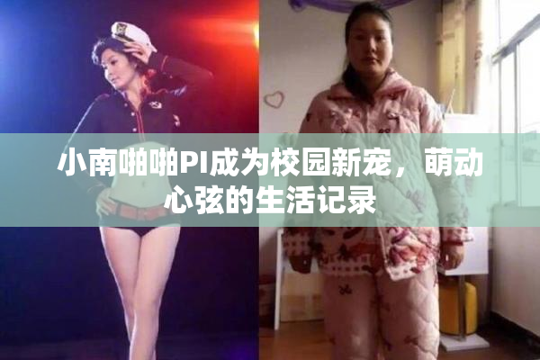 小南啪啪PI成为校园新宠，萌动心弦的生活记录