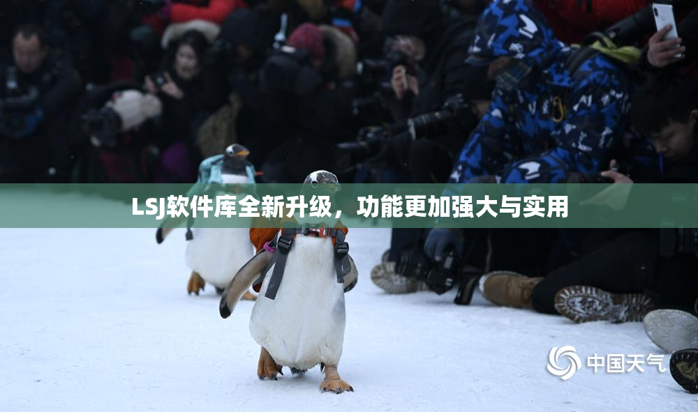 LSJ软件库全新升级，功能更加强大与实用