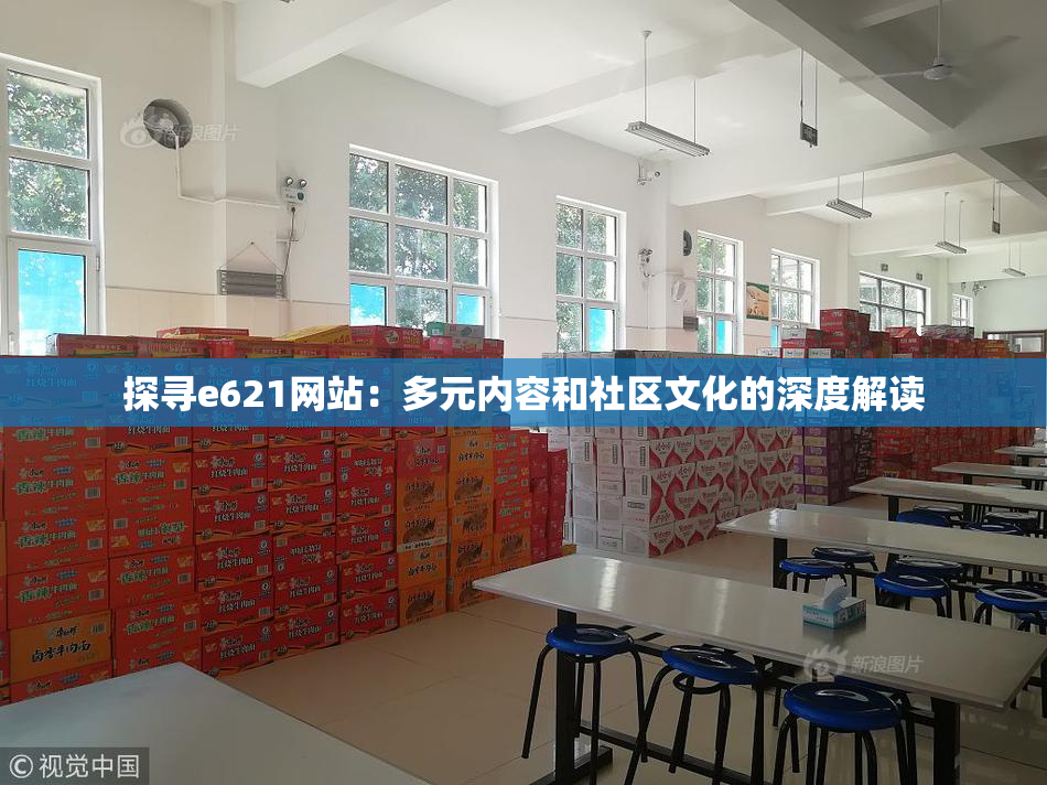 探寻e621网站：多元内容和社区文化的深度解读