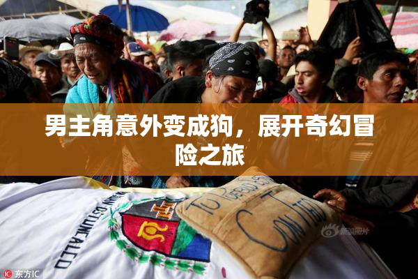 男主角意外变成狗，展开奇幻冒险之旅