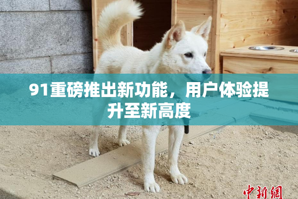 91重磅推出新功能，用户体验提升至新高度