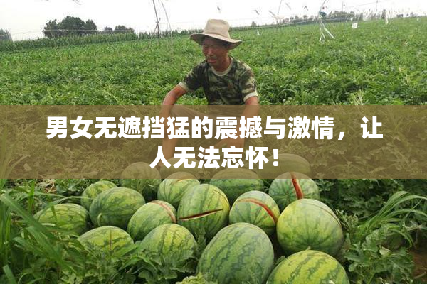 男女无遮挡猛的震撼与激情，让人无法忘怀！