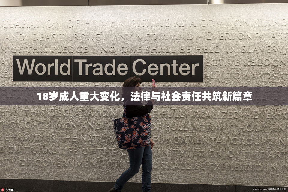 18岁成人重大变化，法律与社会责任共筑新篇章