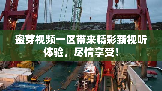 蜜芽视频一区带来精彩新视听体验，尽情享受！