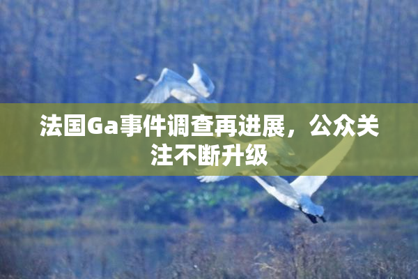 法国Ga事件调查再进展，公众关注不断升级