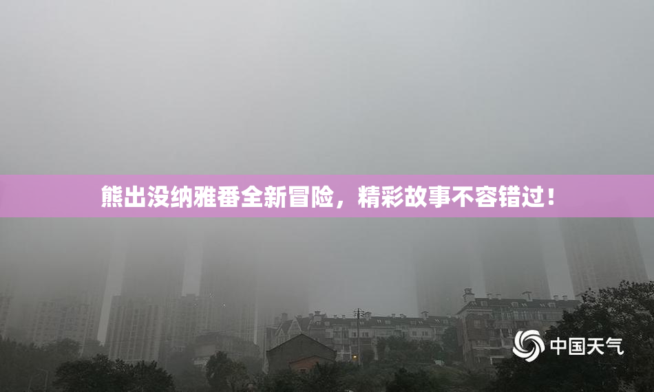 熊出没纳雅番全新冒险，精彩故事不容错过！
