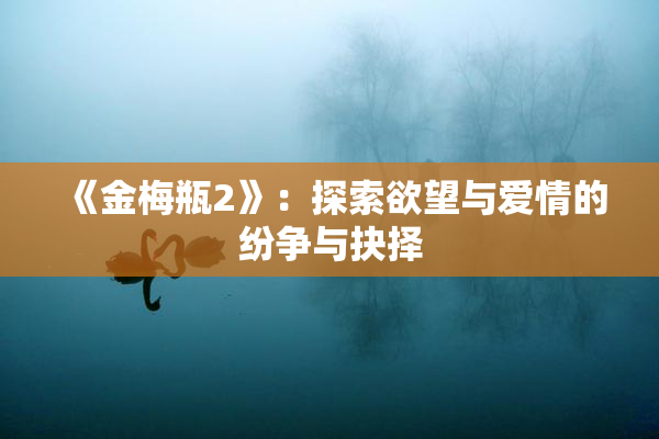 《金梅瓶2》：探索欲望与爱情的纷争与抉择