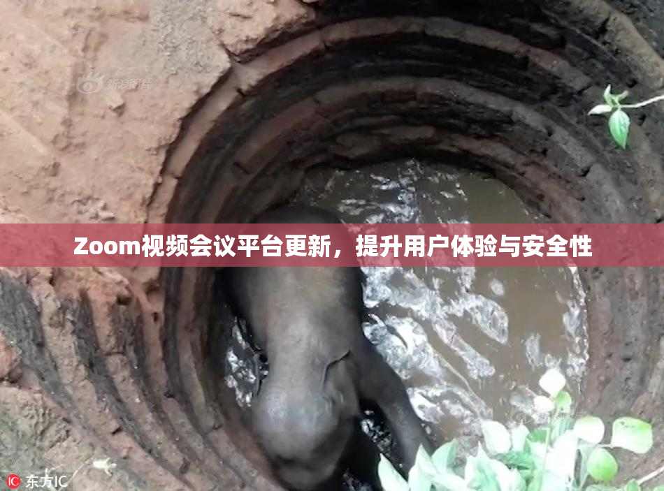 Zoom视频会议平台更新，提升用户体验与安全性