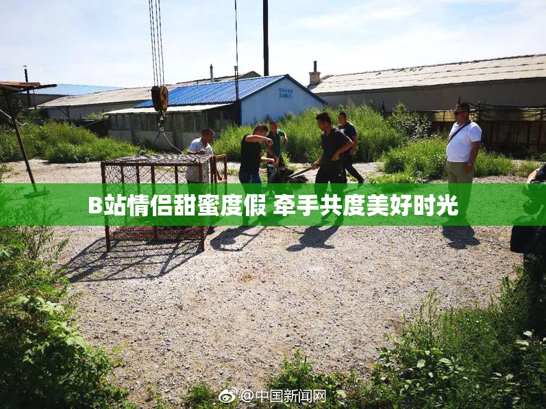 B站情侣甜蜜度假 牵手共度美好时光