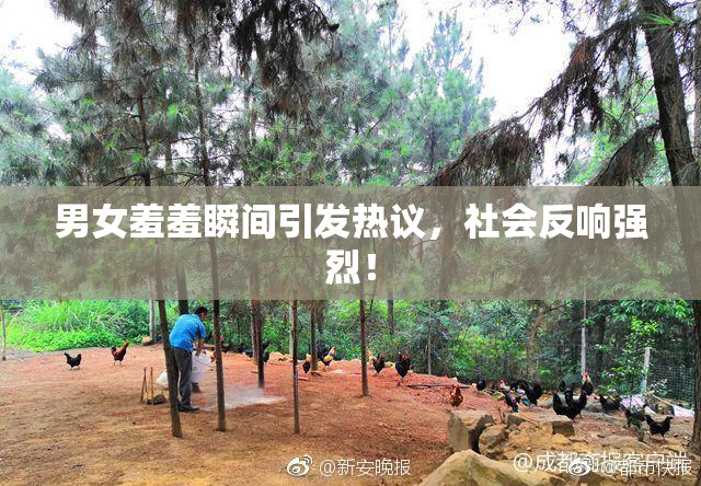 男女羞羞瞬间引发热议，社会反响强烈！