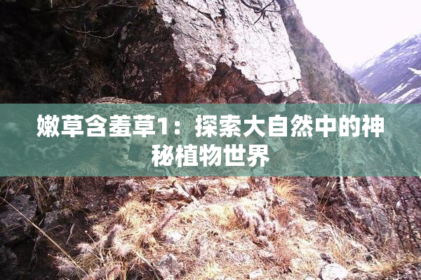 嫩草含羞草1：探索大自然中的神秘植物世界