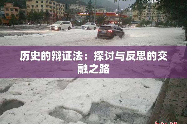历史的辩证法：探讨与反思的交融之路
