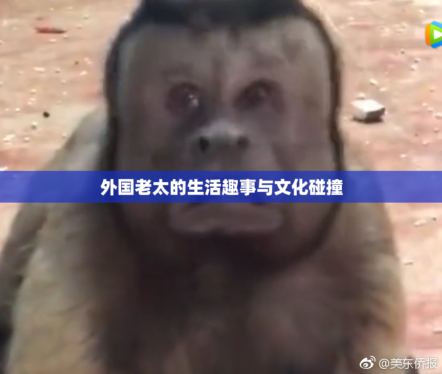外国老太的生活趣事与文化碰撞