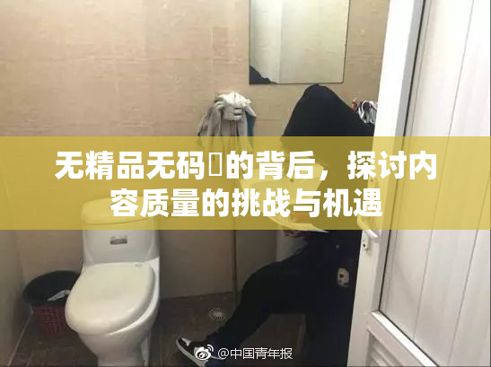 无精品无码囯的背后，探讨内容质量的挑战与机遇