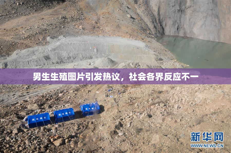 男生生殖图片引发热议，社会各界反应不一