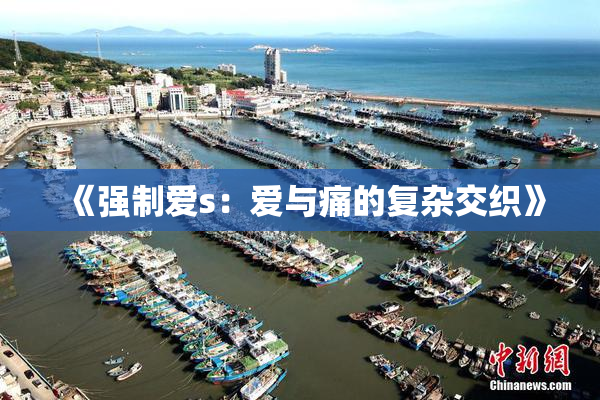 《强制爱s：爱与痛的复杂交织》