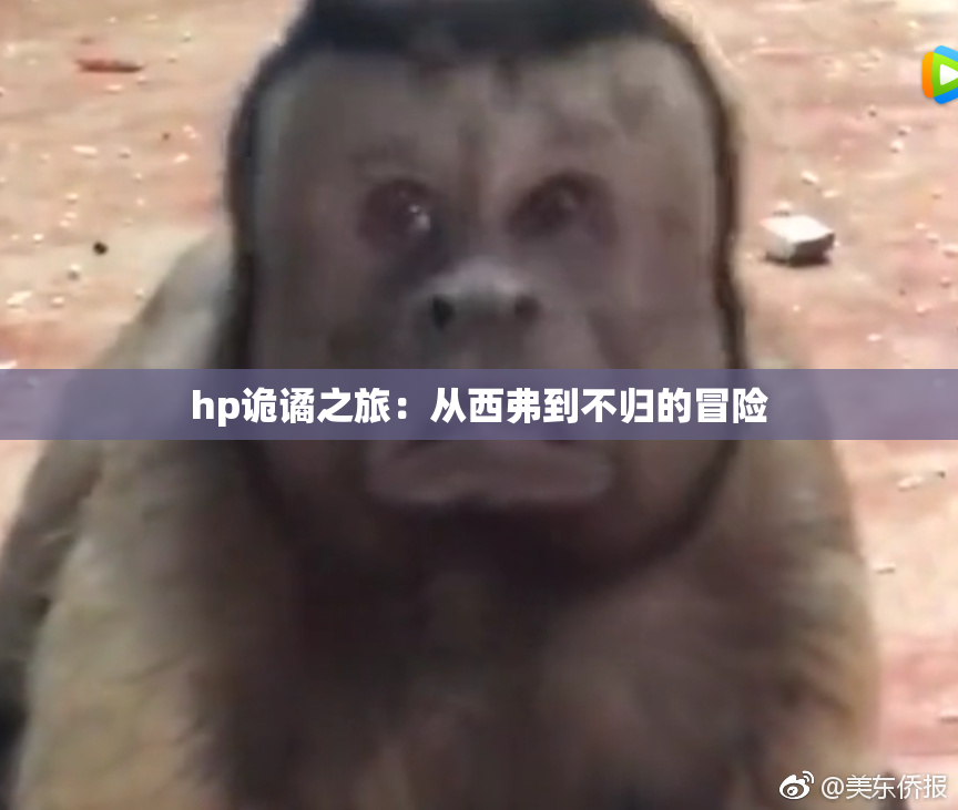 hp诡谲之旅：从西弗到不归的冒险